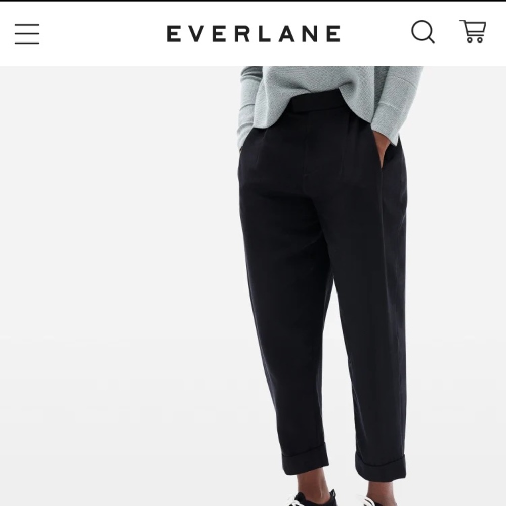 Everlane Put Together Pleat Pants - Black - 4